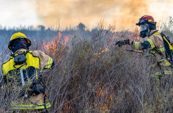 戍边与森林防火